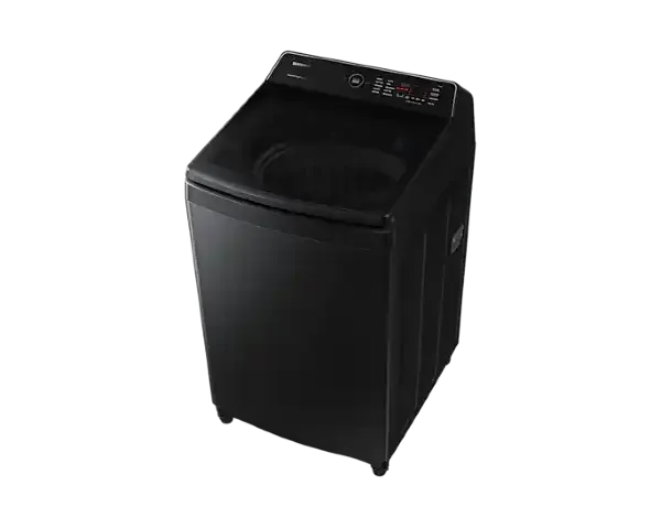 17kg WA6000C Top load Washer with Ecobubble WA17CG6745BVFA