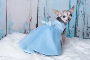 2 robes pour chien dans une : robe bleu pâle tutu chic, réversible robe bohème en denim jeans bleu pâle et fleurs beiges à la taille