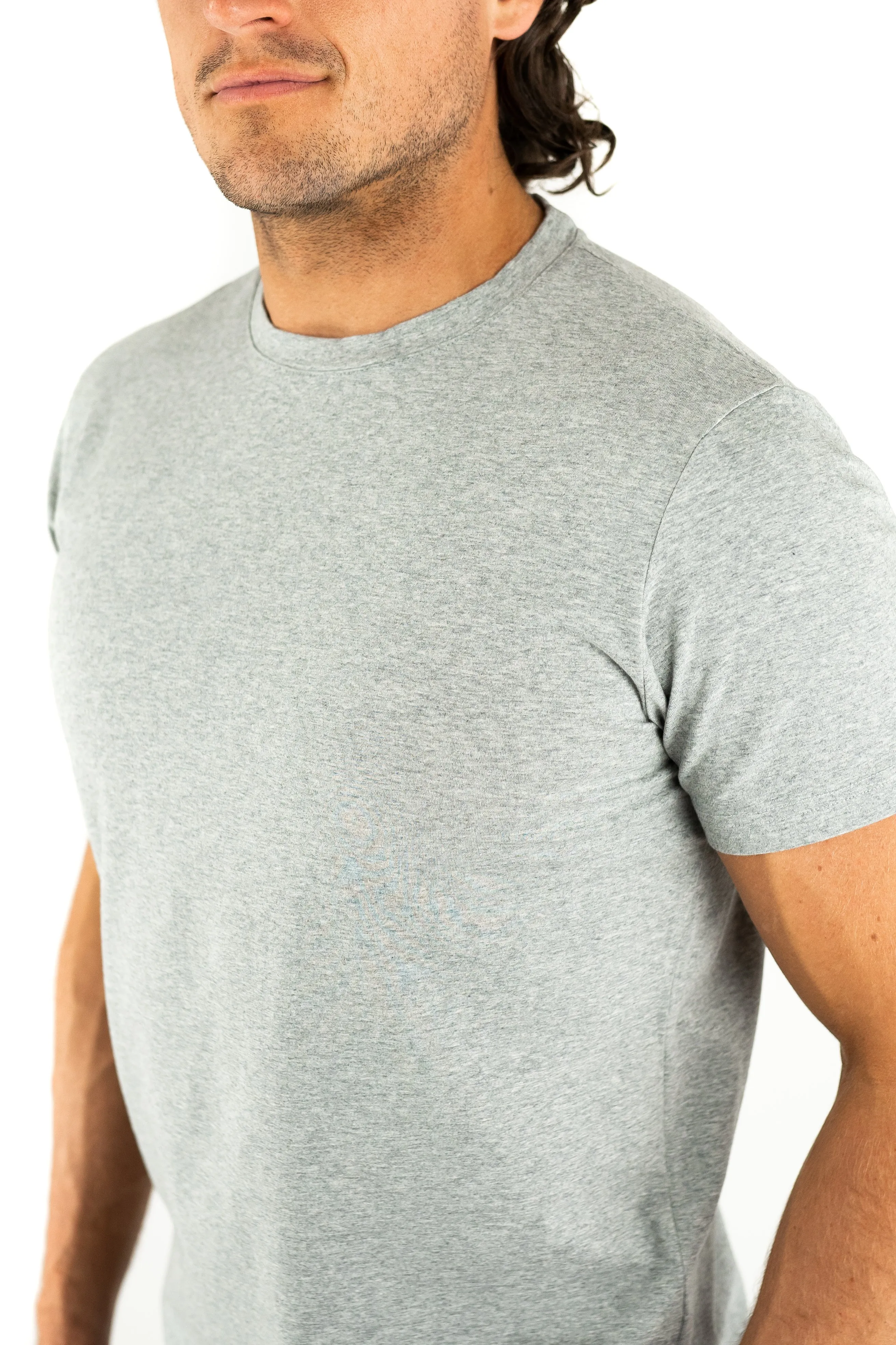 Fitted T-Shirt Grey