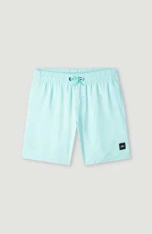 Future Surf Society 14'' Badehose | Beach Glass