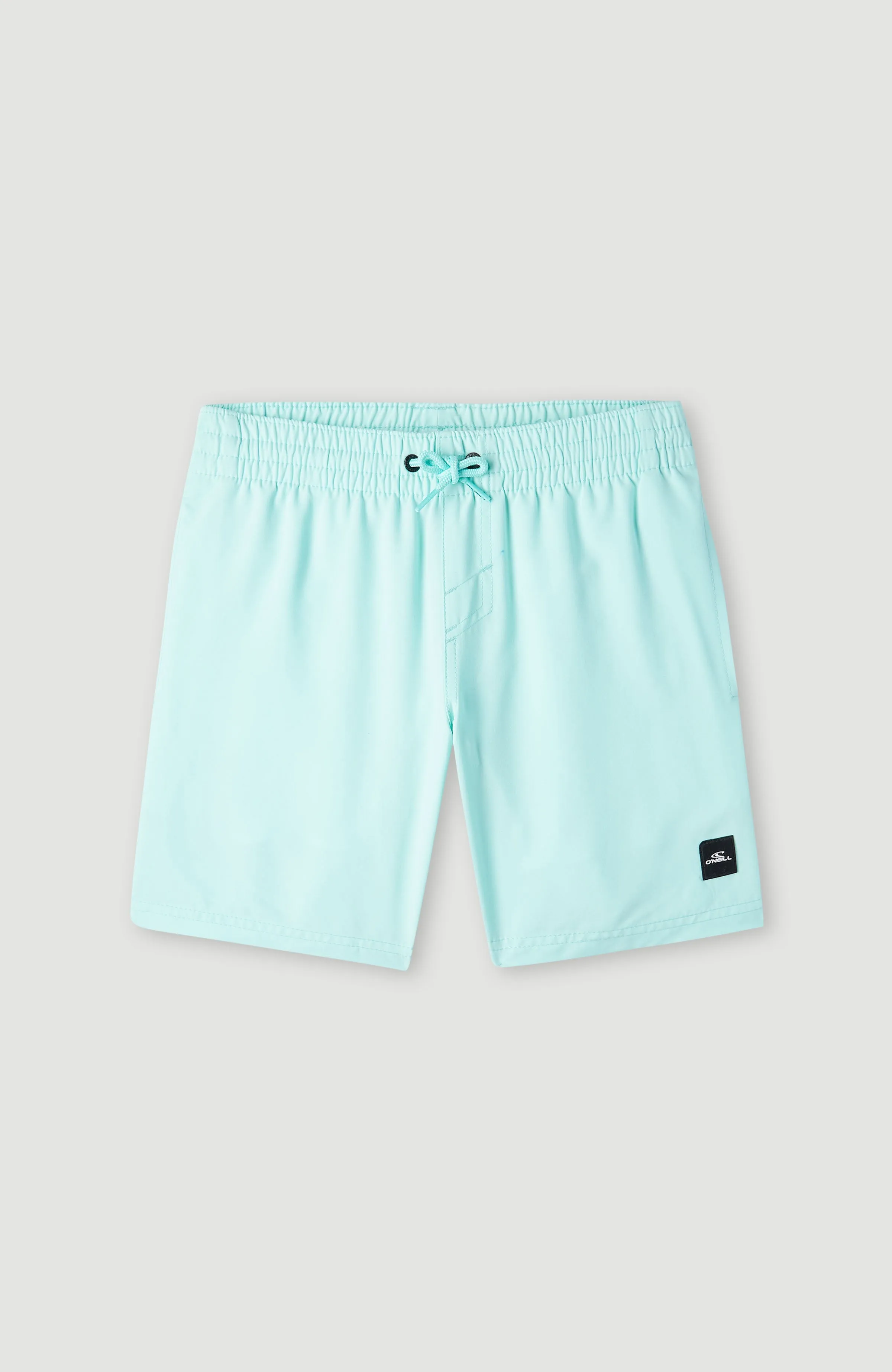 Future Surf Society 14'' Badehose | Beach Glass