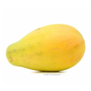Golden Papaya (4x)