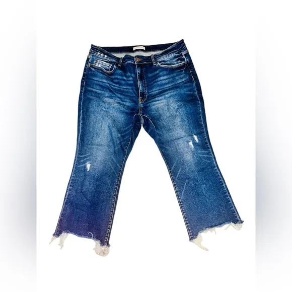 Jasper Flying Monkey Jeans Size 22W- NWOT