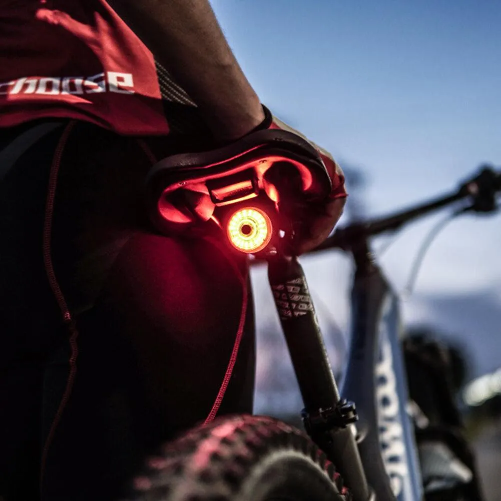 Leadbike Bicycle Smart Rear Light Auto Start/Stop Brake Sensing
