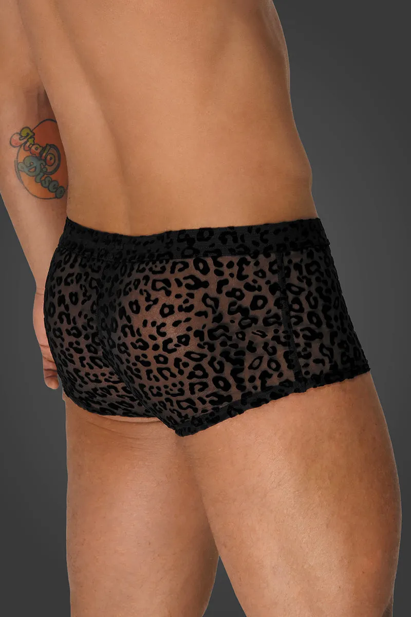 Noir Handmade Leopard Flock Shorts