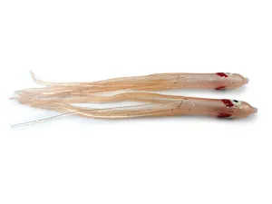 NORTH PACIFIC NEEDLE FISH M92