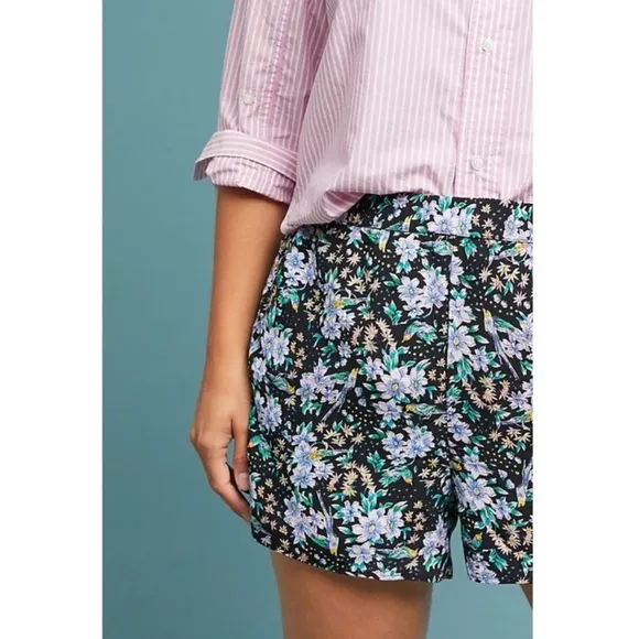 NWT Anthropologie Shorts