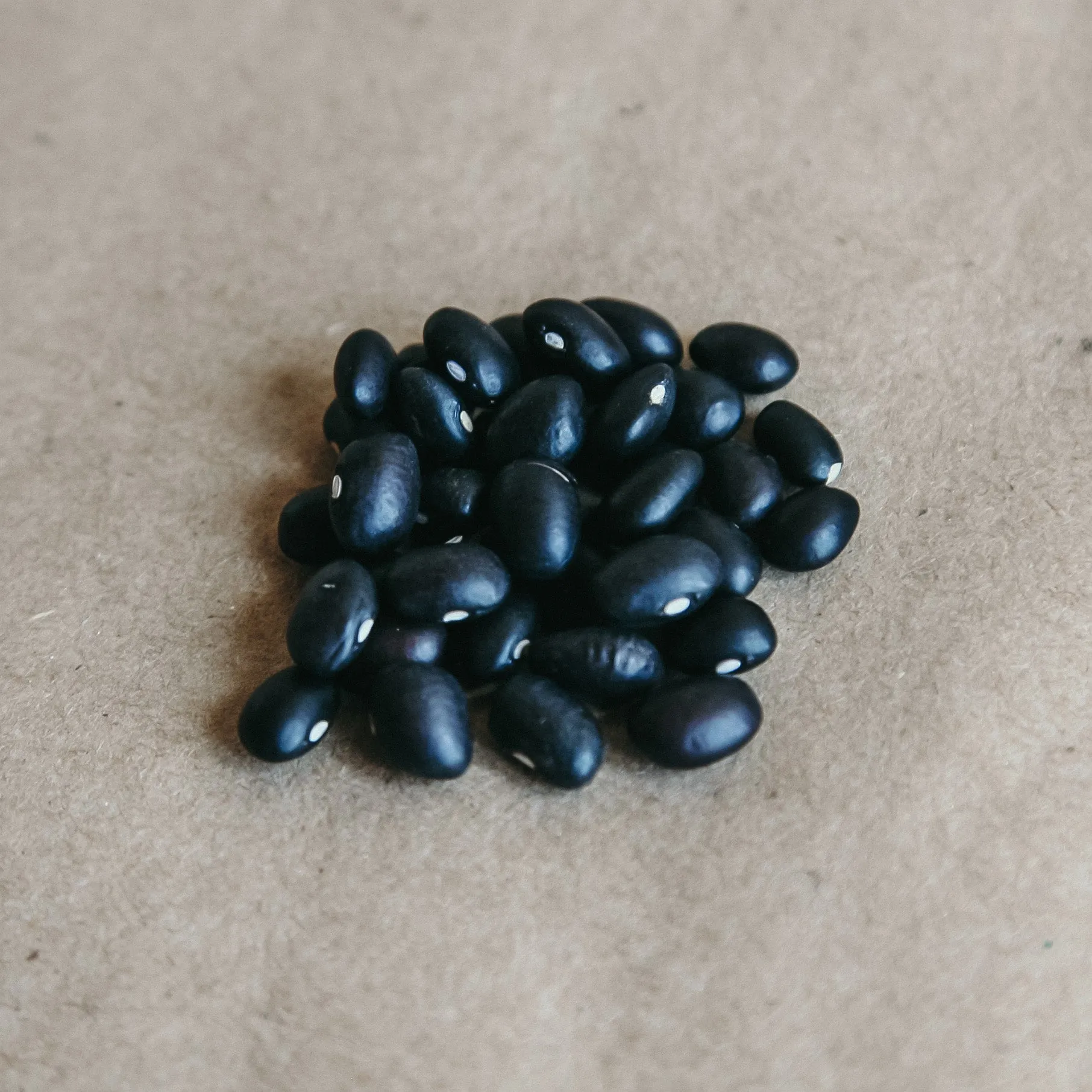Organic Black Beans
