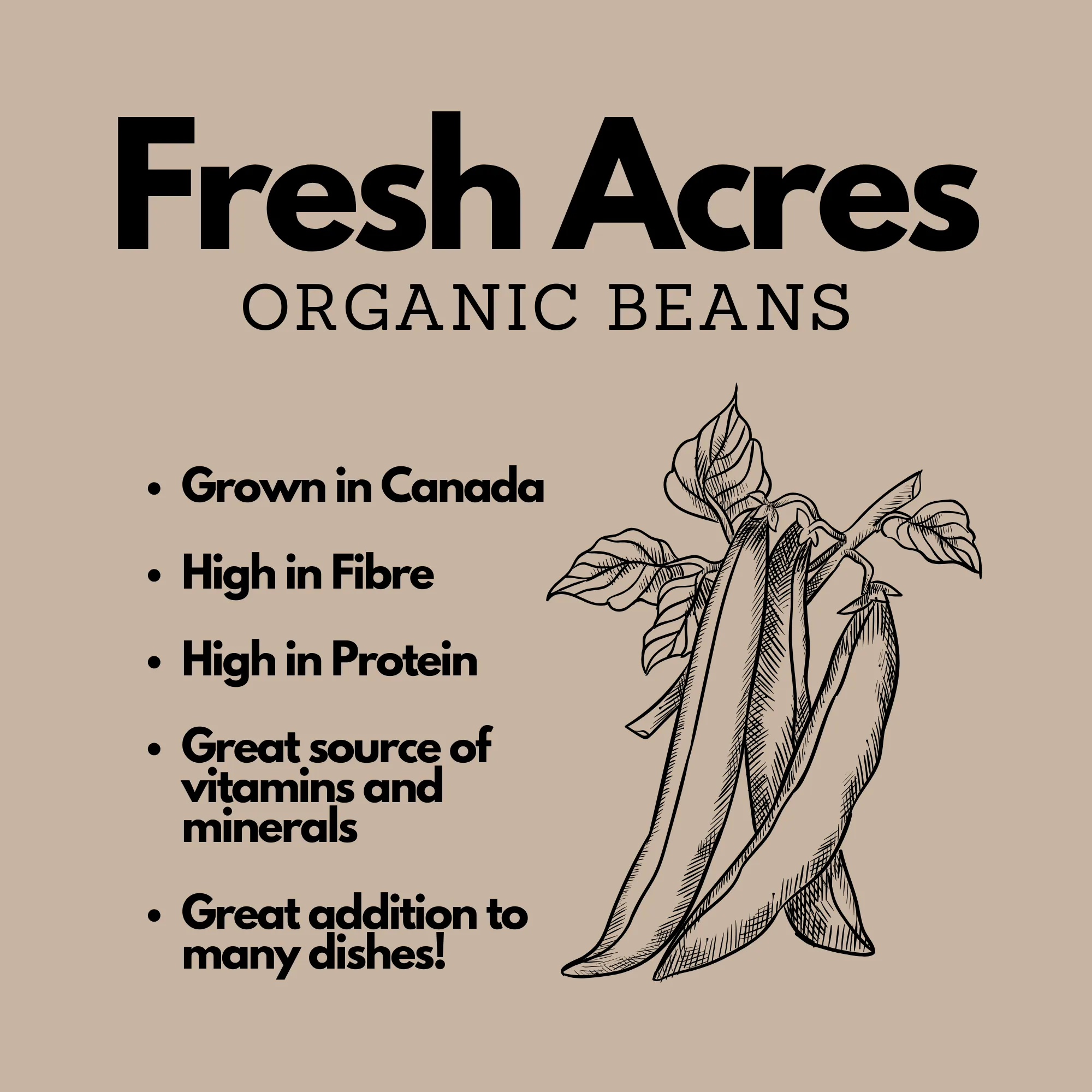 Organic Black Beans