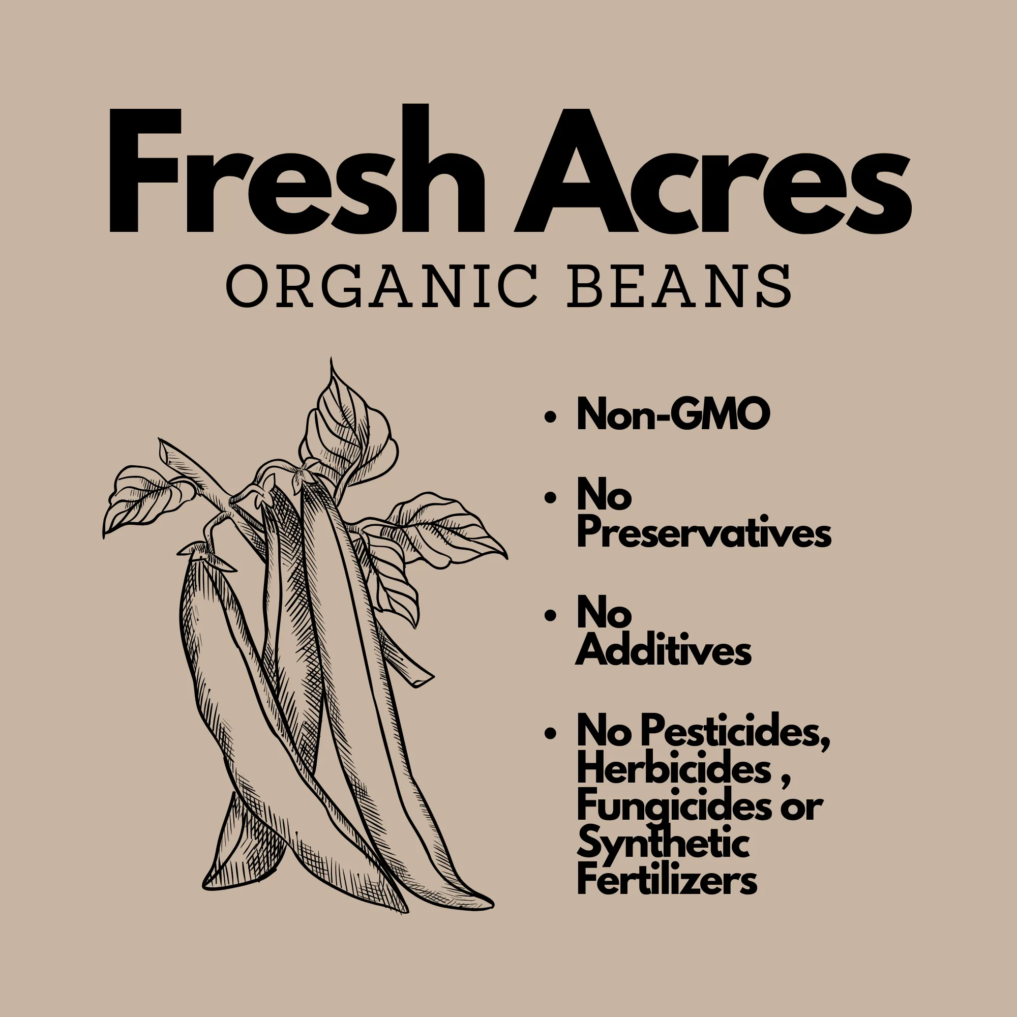 Organic Black Beans