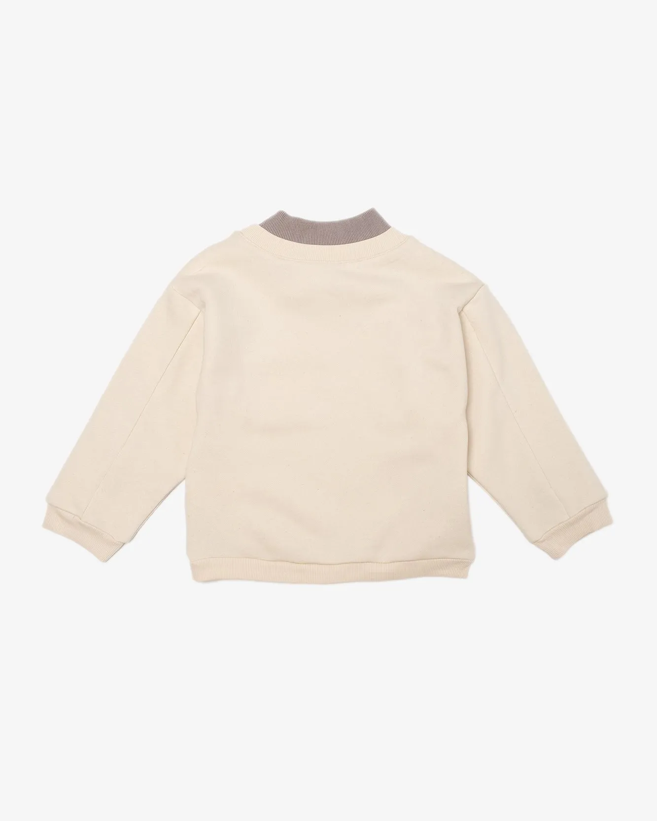 Rib Turtle Neck Sweaters