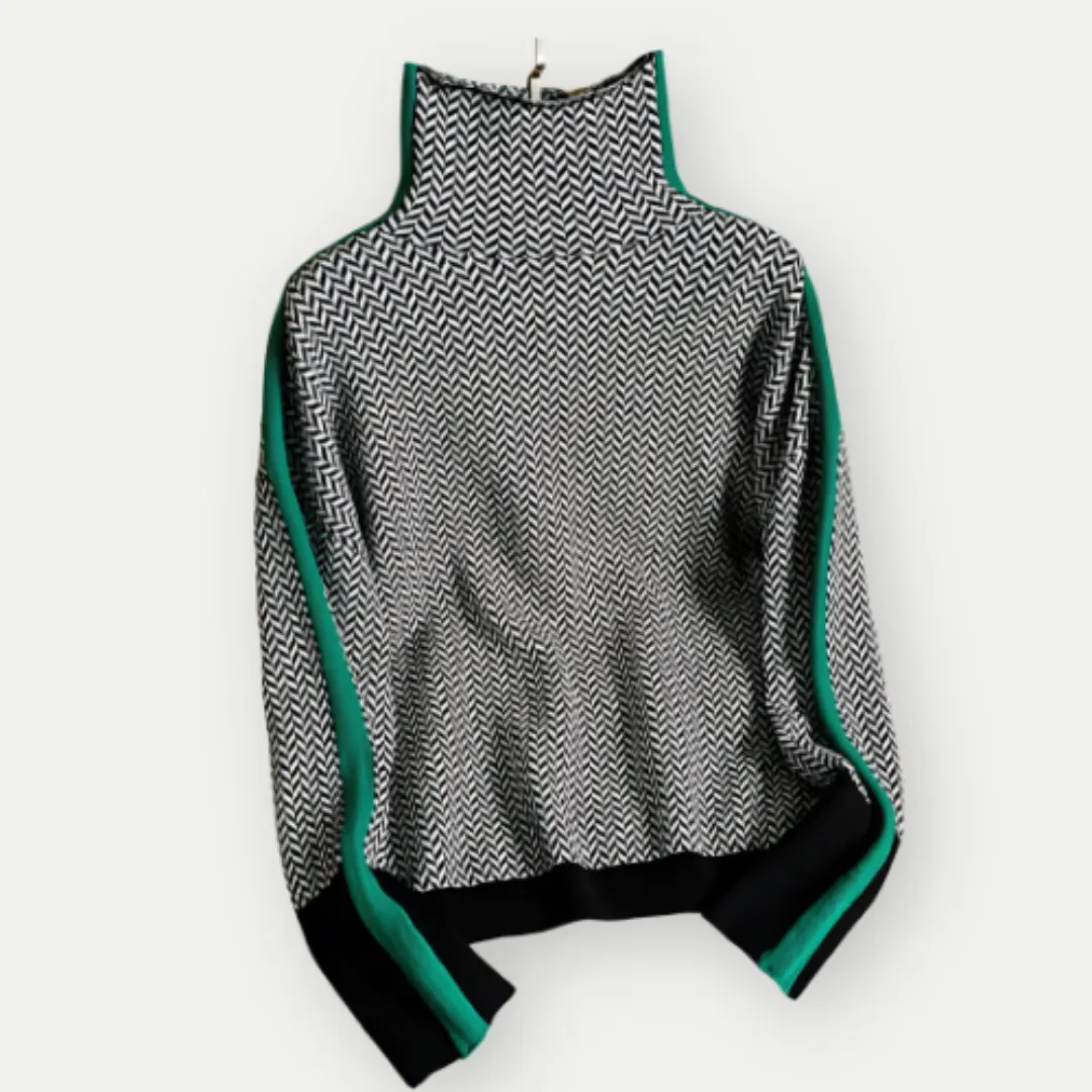 Women's Elegant Winter Turtle Neck Sweater | Knitted