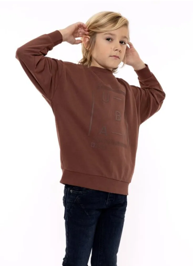 Youth Boys Oversized Brown Sweatshirt : Sizes 7-14